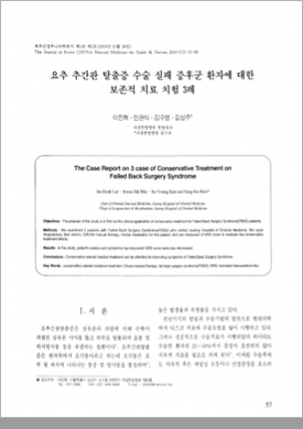 요추 추간판 탈출증 수술 실패 증후군 논문 자료 1