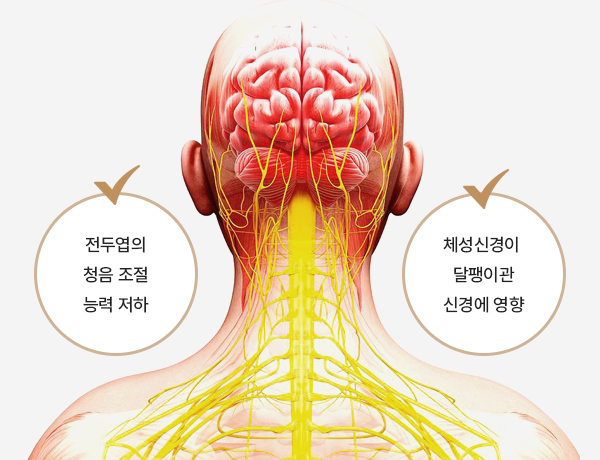 이명을 유발하는 다양한 생활 습관 원인