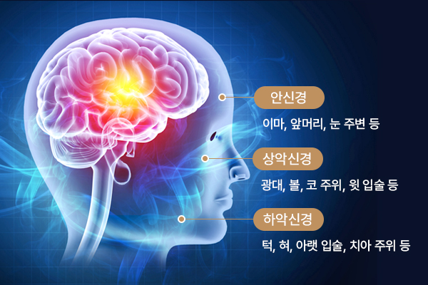 삼차신경통 통합 치료 접근 안내