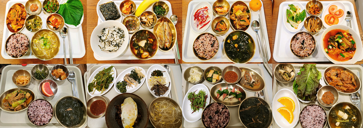 건강한 식단 프로그램